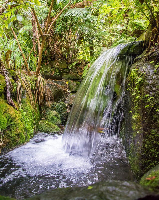 Natural spring water at Kamakhya